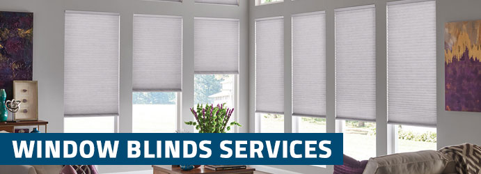 Window Blinds Services